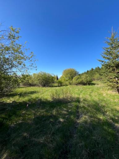 Photo for Lot 2 - TBD 330th Street, Warroad, MN 56763 - Listing #6635722 Lot 2 - TBD 330th Street, Warroad, MN 56763