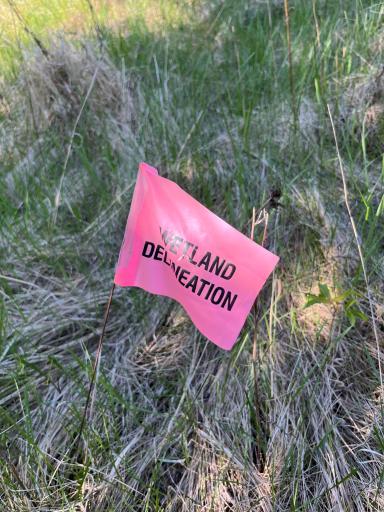 Photo for Lot 2 - TBD 330th Street, Warroad, MN 56763 - Listing #6635722 Lot 2 - TBD 330th Street, Warroad, MN 56763