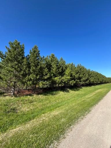 Photo for Lot 2 - TBD 330th Street, Warroad, MN 56763 - Listing #6635722 Lot 2 - TBD 330th Street, Warroad, MN 56763
