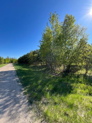Photo for Lot 2 - TBD 330th Street, Warroad, MN 56763 - Listing #6635722 Lot 2 - TBD 330th Street, Warroad, MN 56763