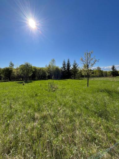 Photo for Lot 2 - TBD 330th Street, Warroad, MN 56763 - Listing #6635722 Lot 2 - TBD 330th Street, Warroad, MN 56763