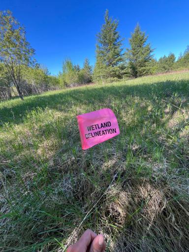 Lot 3 - TBD 330th Street, Warroad, MN 56763