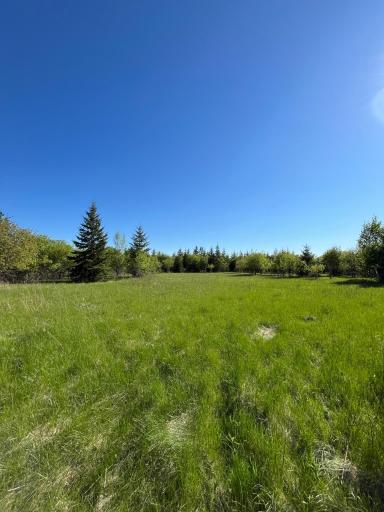 Lot 4 - TBD 330th Street, Warroad, MN 56763