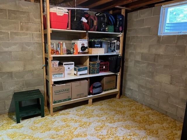 Basement Storage