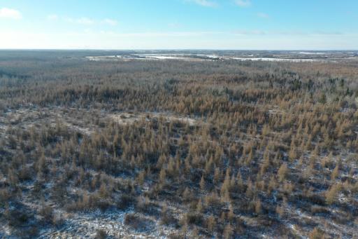 18074 Moccasin Road, Parkers Prairie, MN 56361