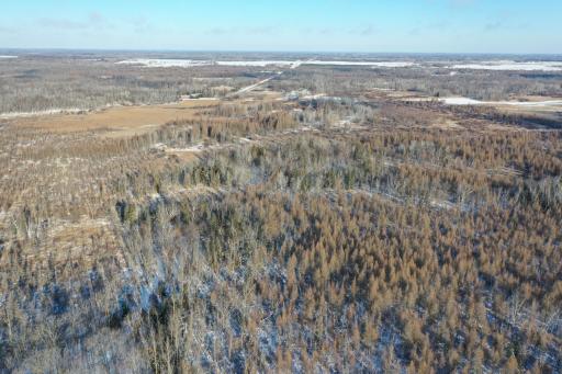 18074 Moccasin Road, Parkers Prairie, MN 56361