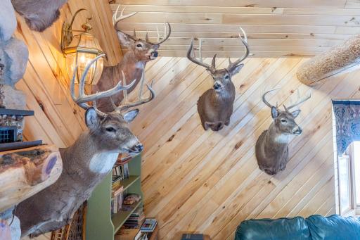 18074 Moccasin Road, Parkers Prairie, MN 56361