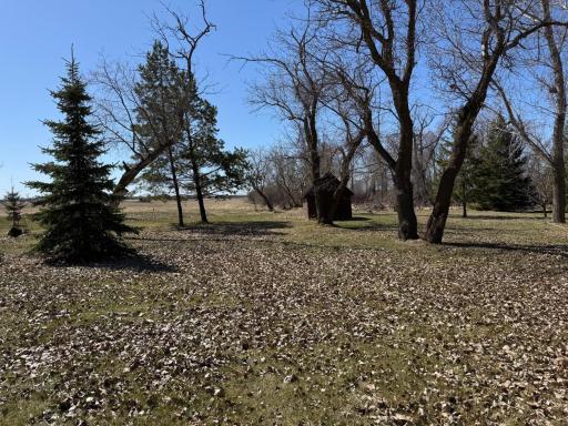 Photo for 604 E University Avenue, Badger, MN 56714 - Listing #6636716 604 E University Avenue, Badger, MN 56714