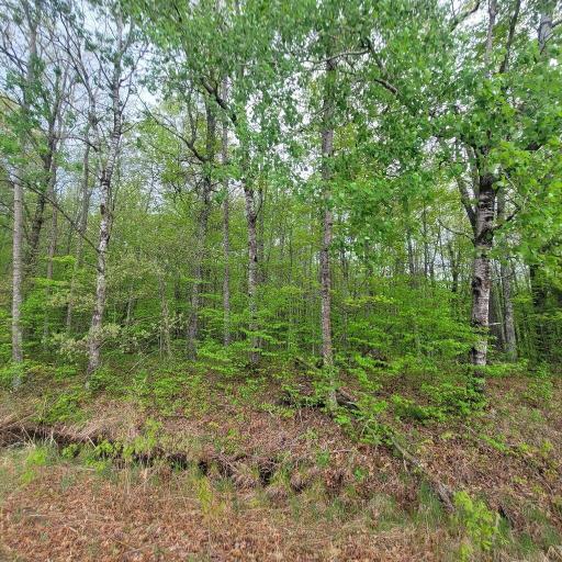 Lot 10 County Road A, Spooner, WI 54801