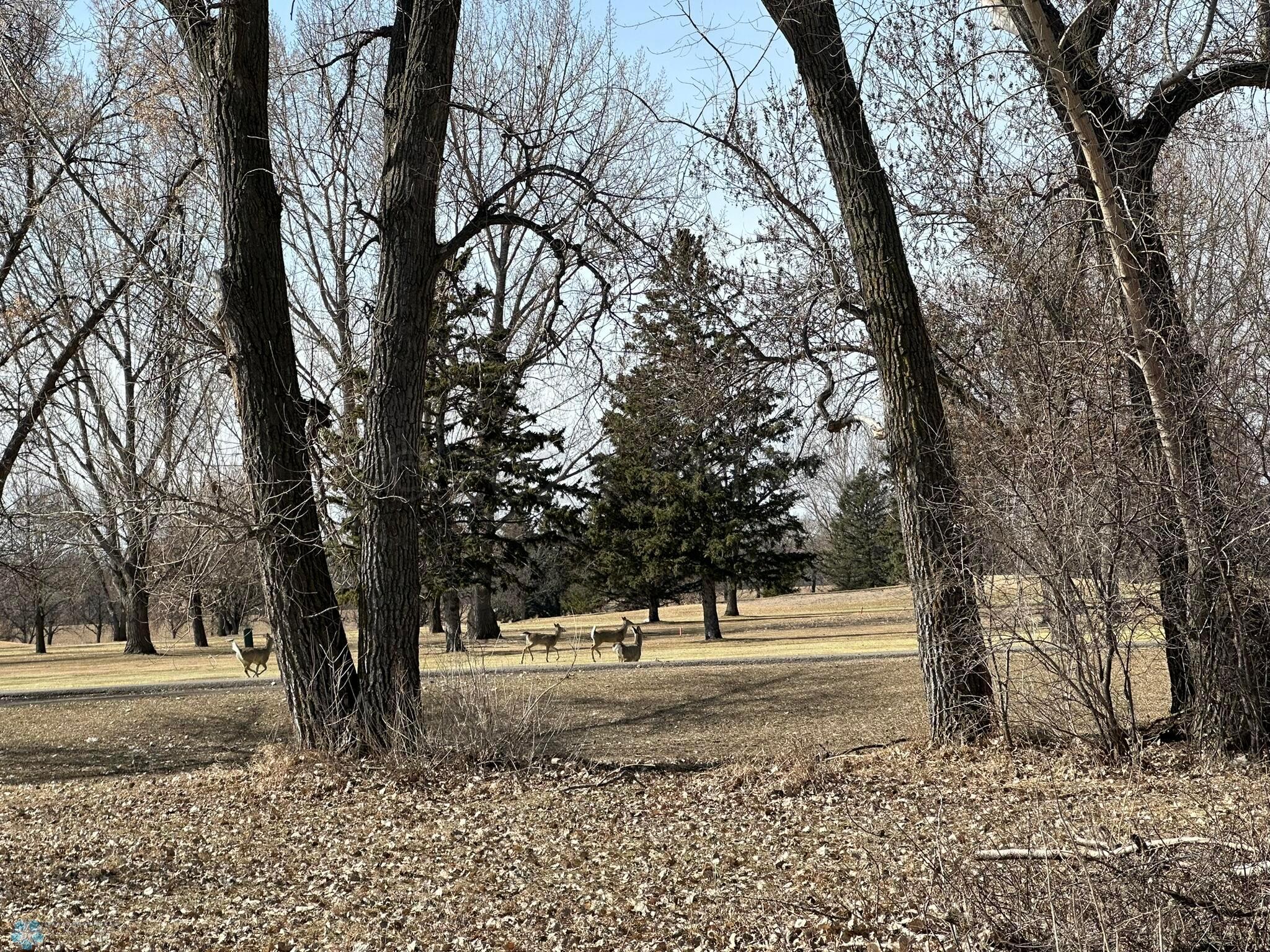 West Facing