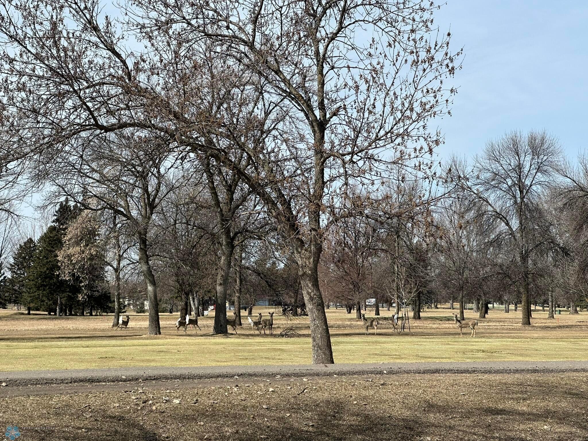 West Facing