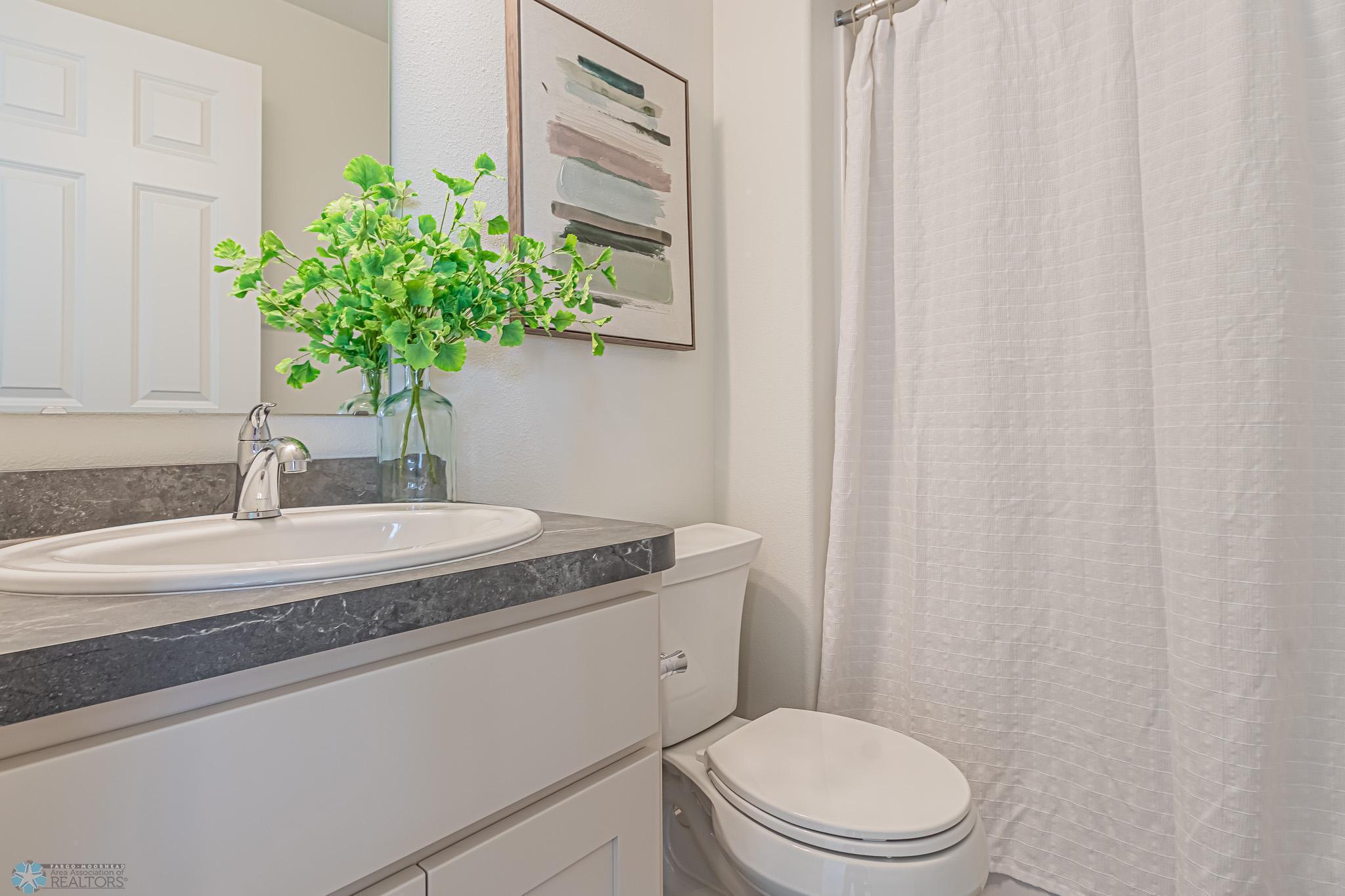 Basement Bathroom.jpg
