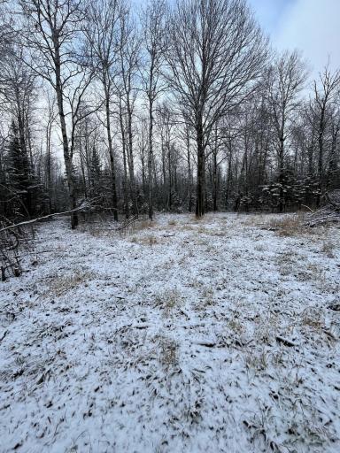 TBD Pinewood Lane NW, Angle Inlet, MN 56711