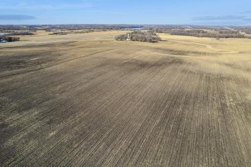 XXX Bagley Avenue, Northfield, MN 55057