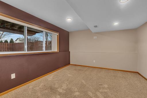 Lower level family room with plush carpeting.