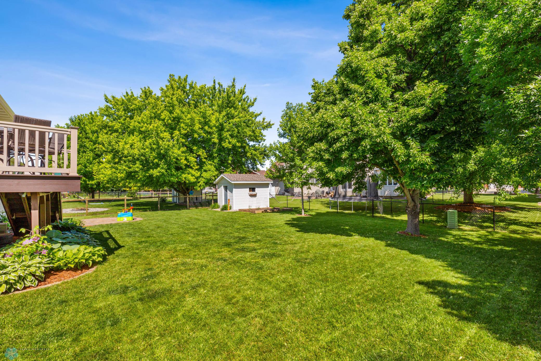 June Backyard