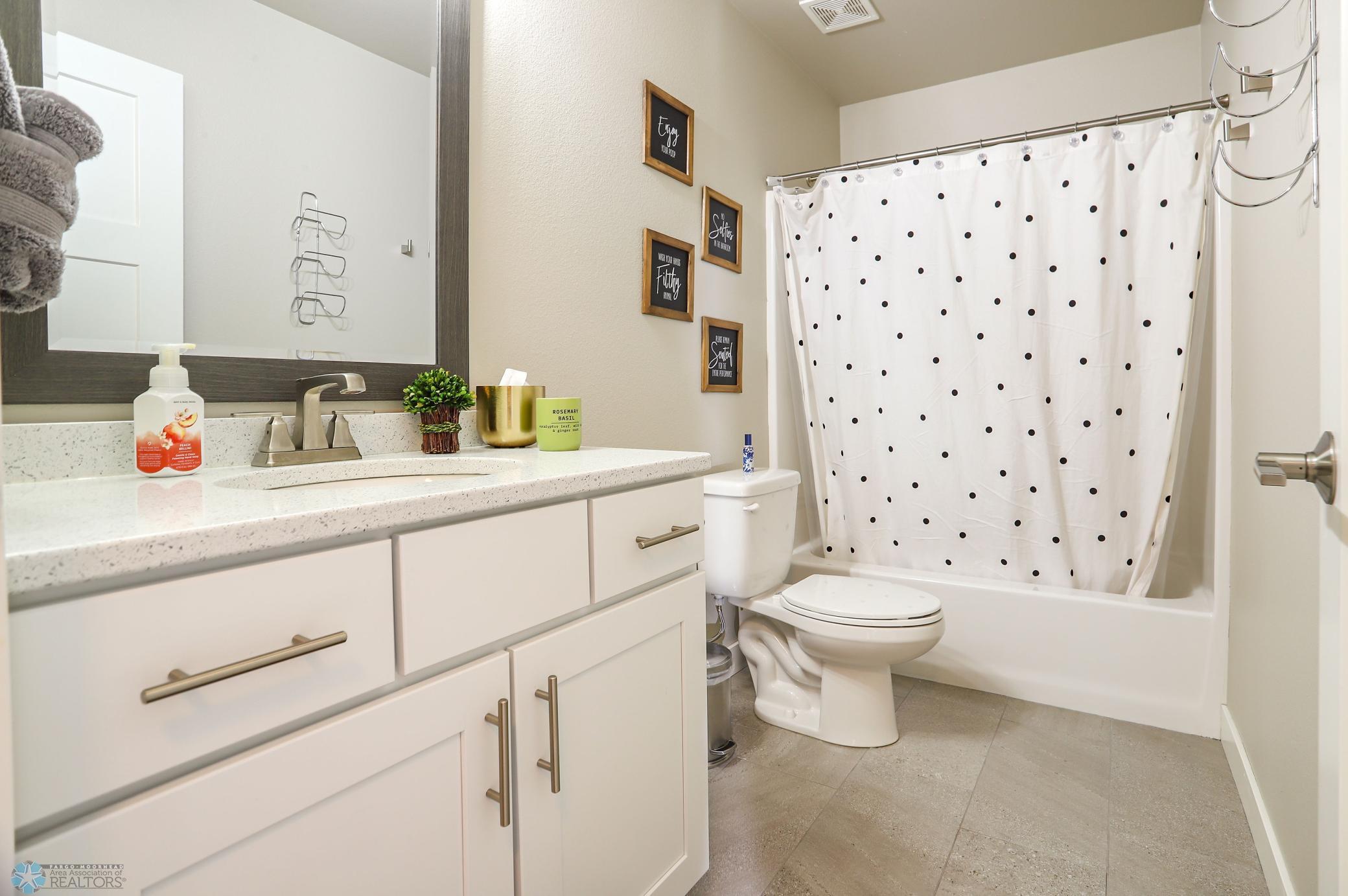 Lower Level Bathroom