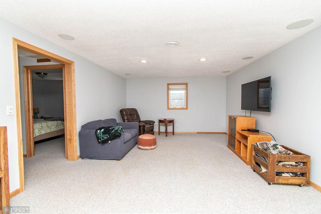 Basement Family Room
