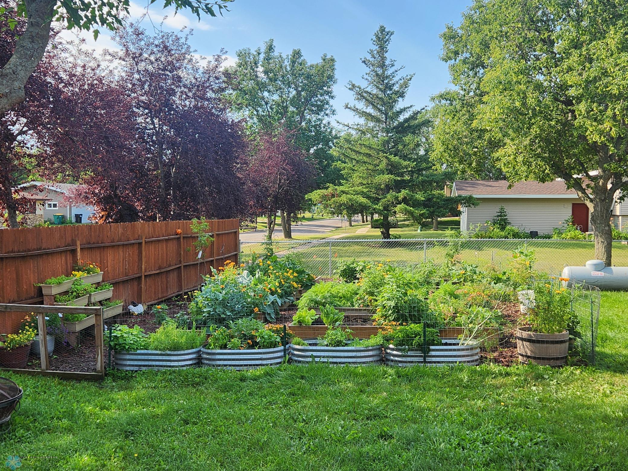 Garden