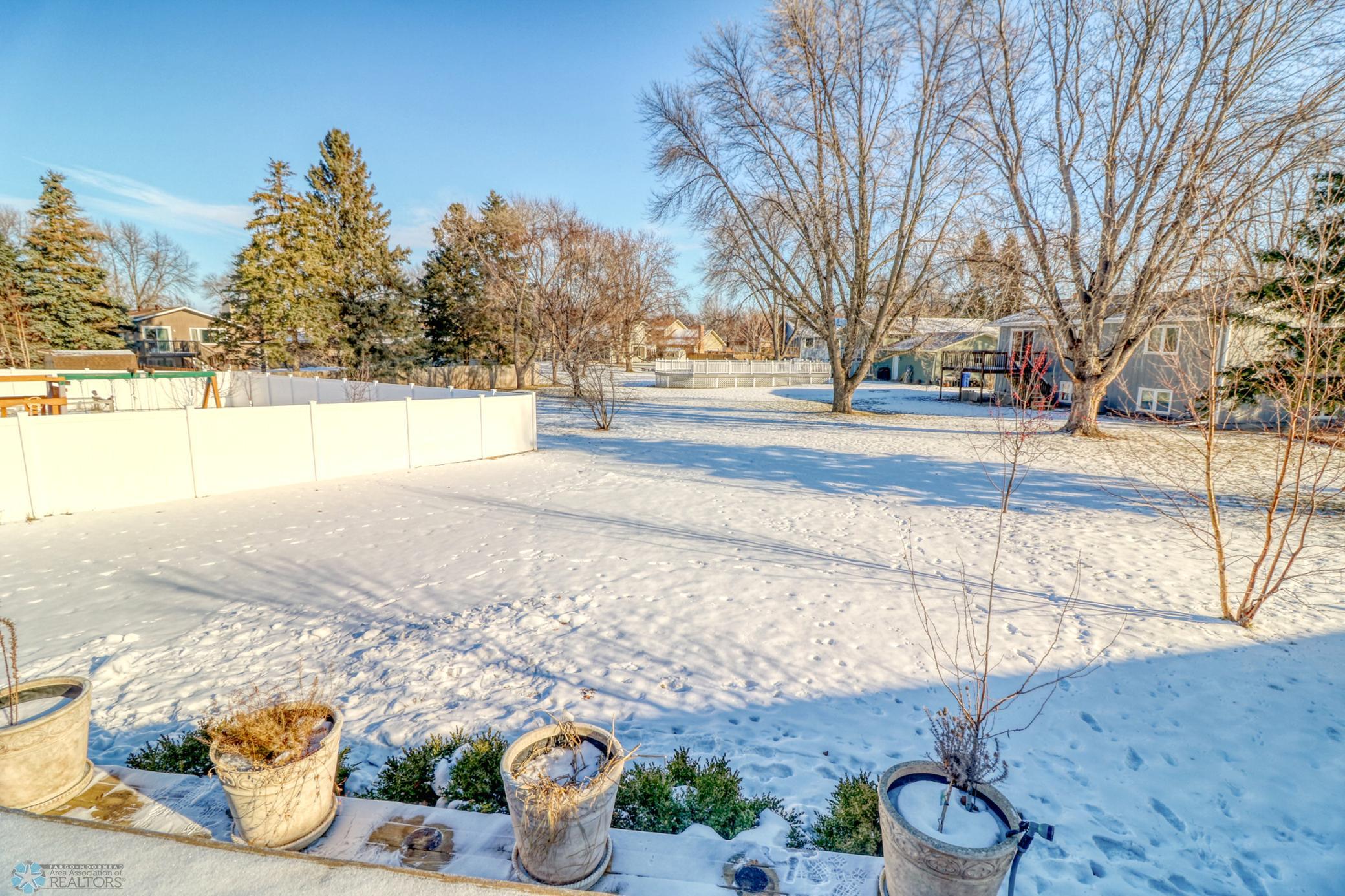 Backyard1_3.jpg