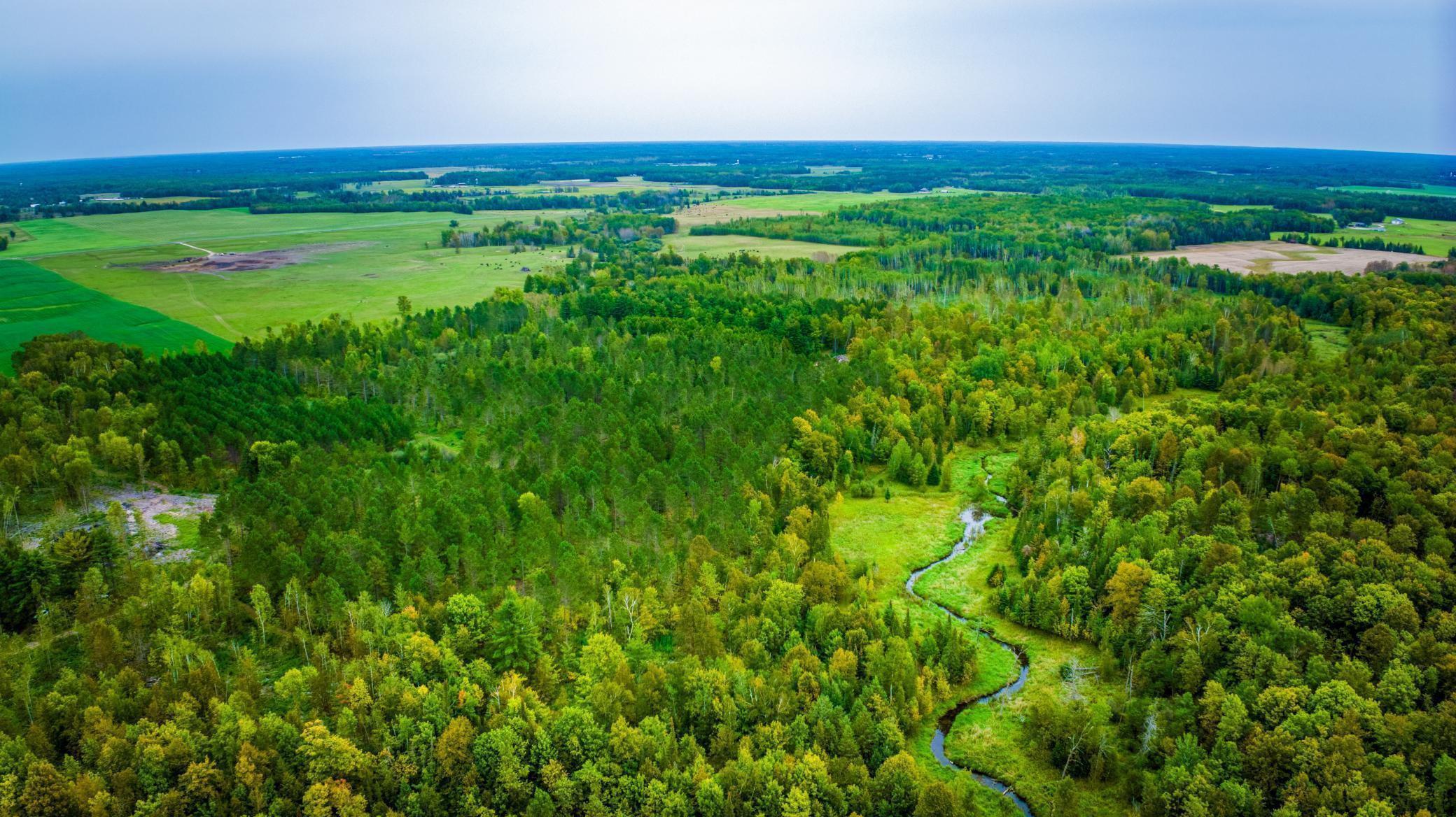 N Bduck lots aerial 1.jpg