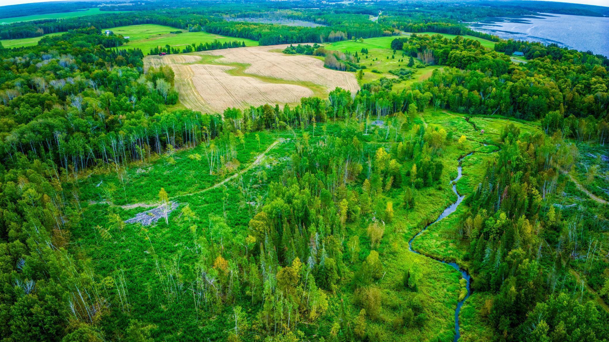 Lot 3 N Bduck 1.jpg