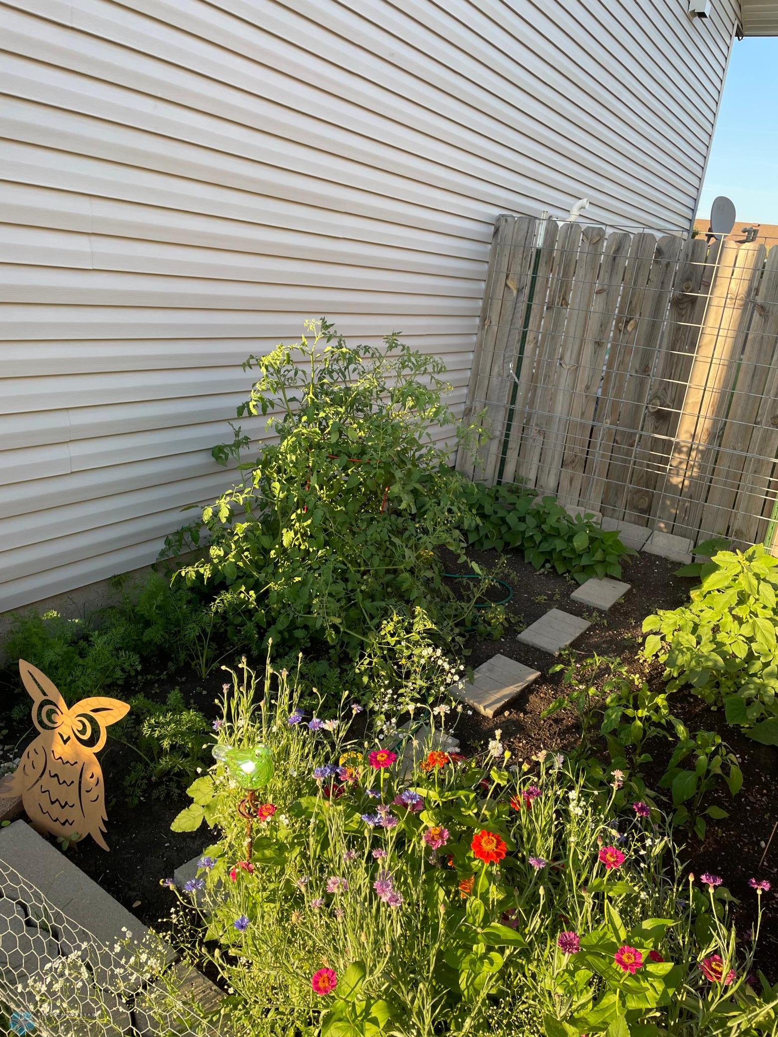 garden