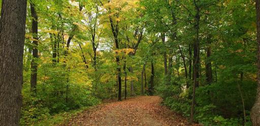 9104 Rachel Shores SW, Farwell, MN 56327
