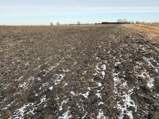 TBD 80th Avenue NE, Clara City, MN 56222