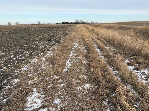 TBD 80th Avenue NE, Clara City, MN 56222