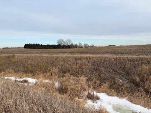 TBD 80th Avenue NE, Clara City, MN 56222