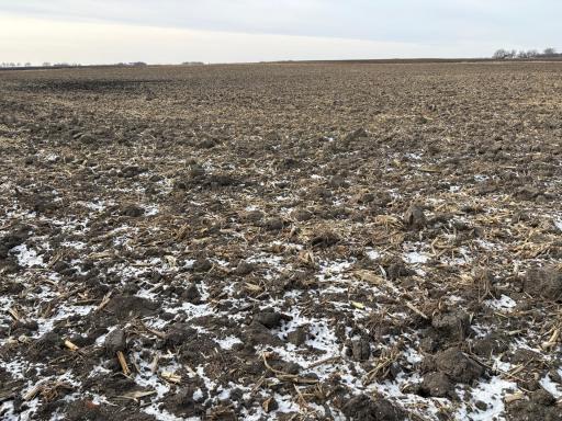 TBD 80th Avenue NE, Clara City, MN 56222