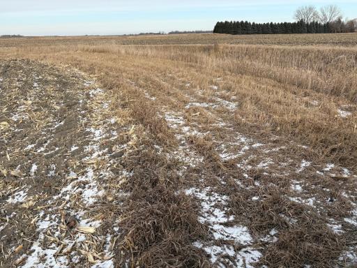TBD 80th Avenue NE, Clara City, MN 56222