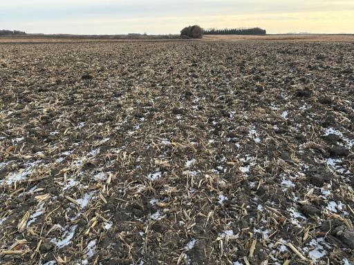 TBD 80th Avenue NE, Clara City, MN 56222