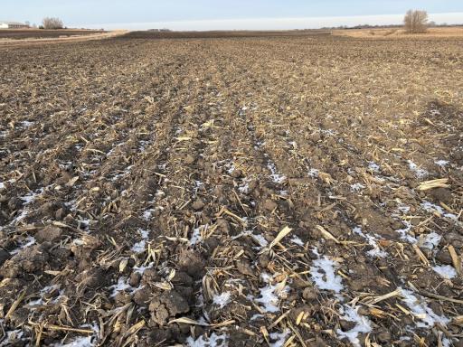 TBD 80th Avenue NE, Clara City, MN 56222