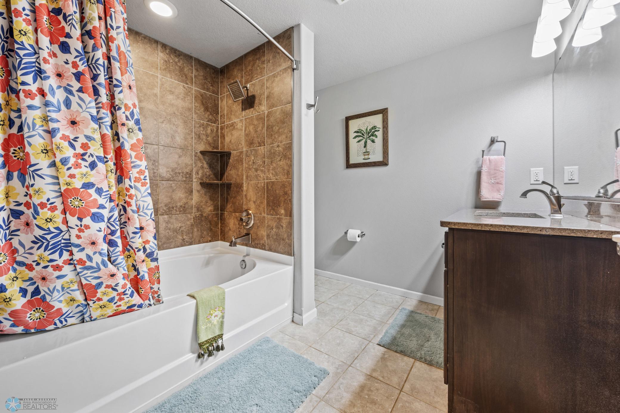 Lower Level Bathroom