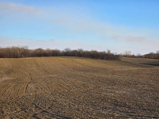 xxx 490th Street, Saint Peter, MN 56028