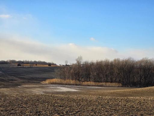 xxx 490th Street, Saint Peter, MN 56028