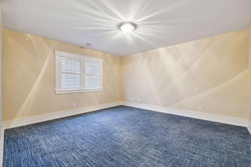 The spacious lower level Guest Room features a walk-in closet - this could also be a perfect Exercise Room.