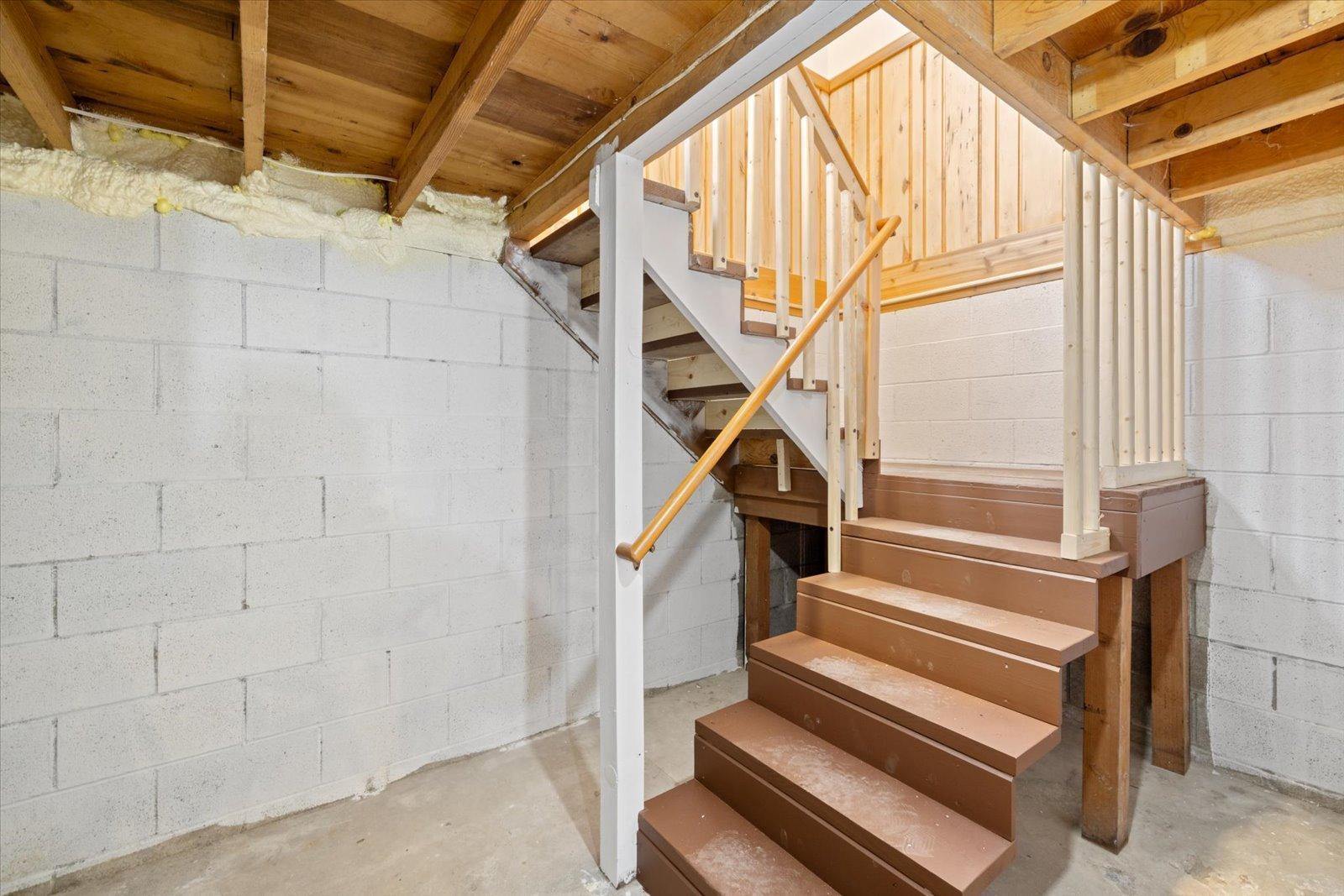 Basement Steps