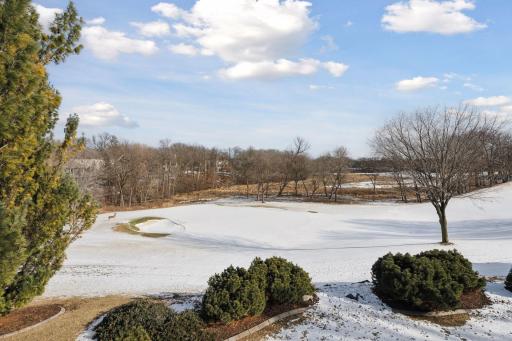 18719 Bearpath Trail, Eden Prairie, MN 55347