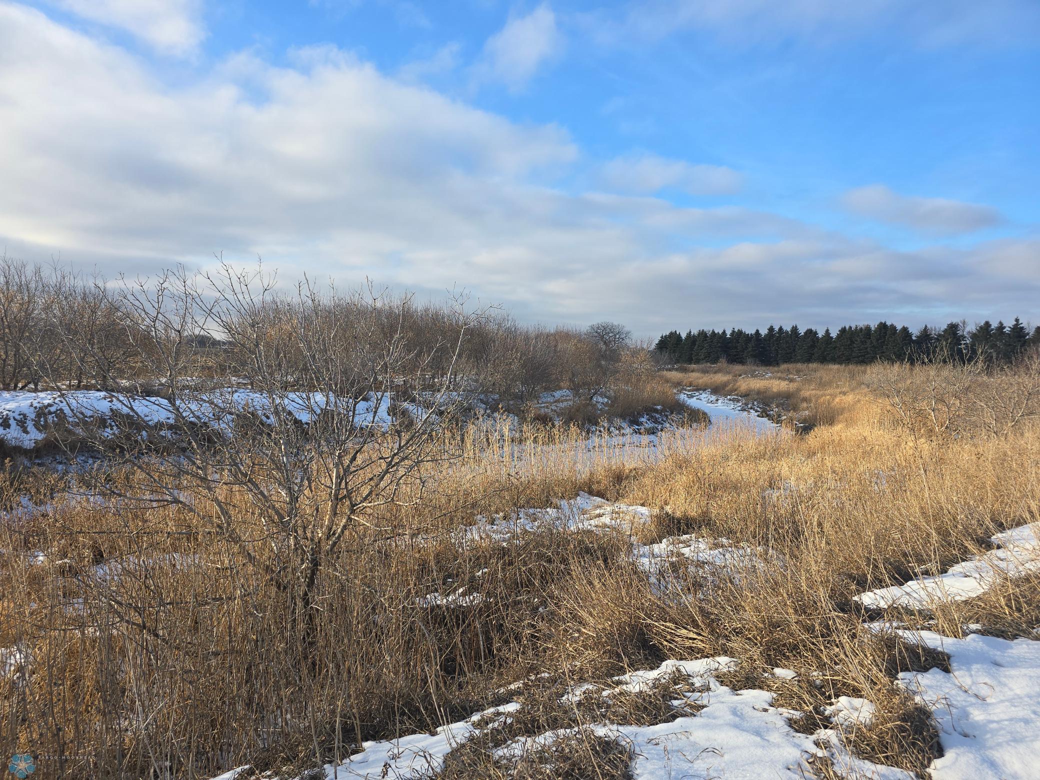 Acreage on the Maple River