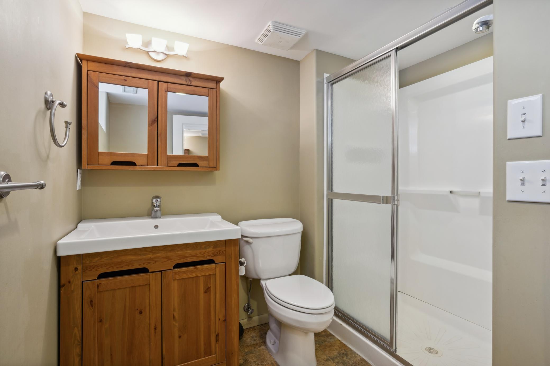 Lower level 3/4 Bath