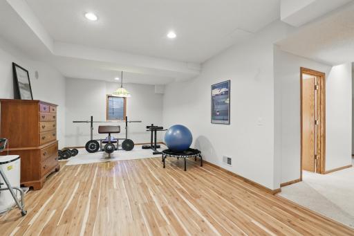 8557 Beacon Alcove, Saint Paul, MN 55125