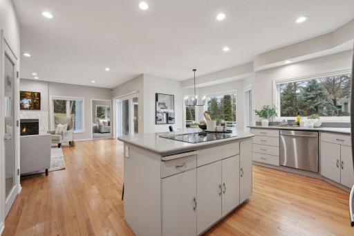 2090 Austrian Pine Lane, Hopkins, MN 55305