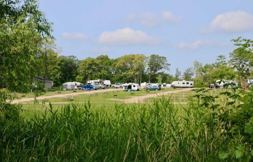 6 wide new campsites through grass BFR.jpg