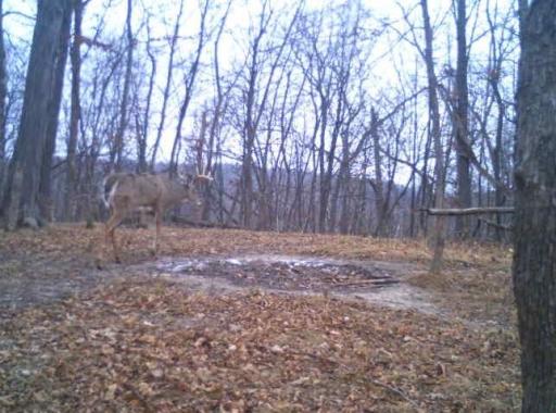 0 County Road J, Nelson, WI 54756