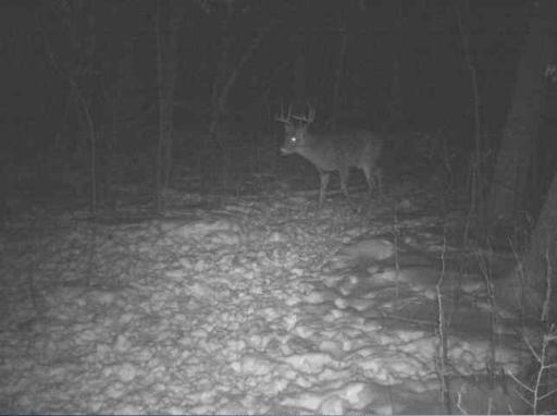 0 County Road J, Nelson, WI 54756