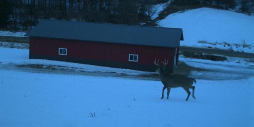0 County Road J, Nelson, WI 54756