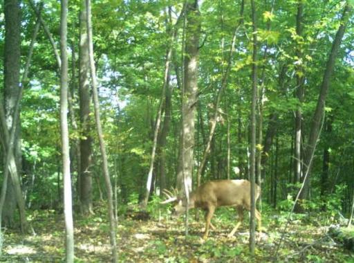 0 County Road J, Nelson, WI 54756